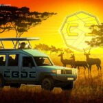 Zimbabwe minister signals CBDC interest amid Bitcoin adoption rumors