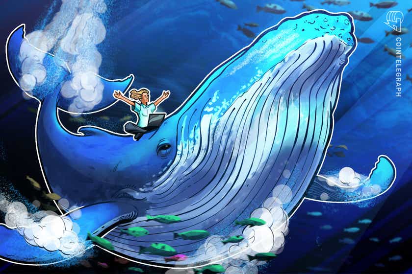 Bitcoin whale indicator detects multi-month accumulation trend as BTC eyes $67K-retest