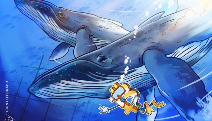 Bitcoin bargain: 3rd-biggest whale address adds 207 BTC at $62K