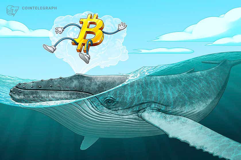 Bitcoin price in classic 'Bull Pennant' breakout as BTC whales go on buying spree