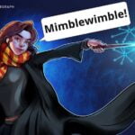 What is Mimblewimble, and how does it work?