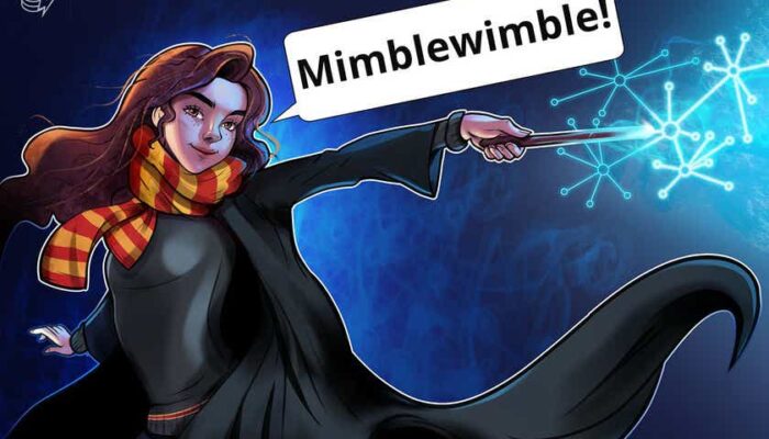 What is Mimblewimble