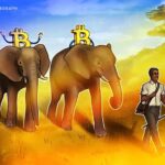 Zimbabwe may be the next country to embrace Bitcoin as legal tender