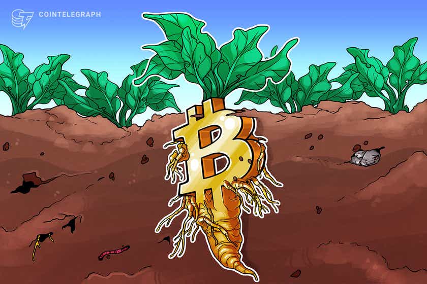 Bitcoin Taproot upgrade improves the network as BTC price impact may be limited