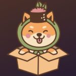 Cryptic Tech E-Tailer Giant Newegg Tweet Sparks Rumors Of Imminent Shiba Inu Integration