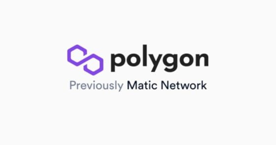 Polygon (Matic Network) to Metamask