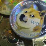 CoinsPro adds support for Dogecoin