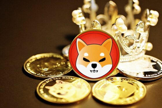 26% Shiba Inu token in hands of whales  5