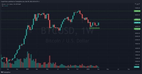 BTC/USD 1-week chart showing Bitcoin price above 40k