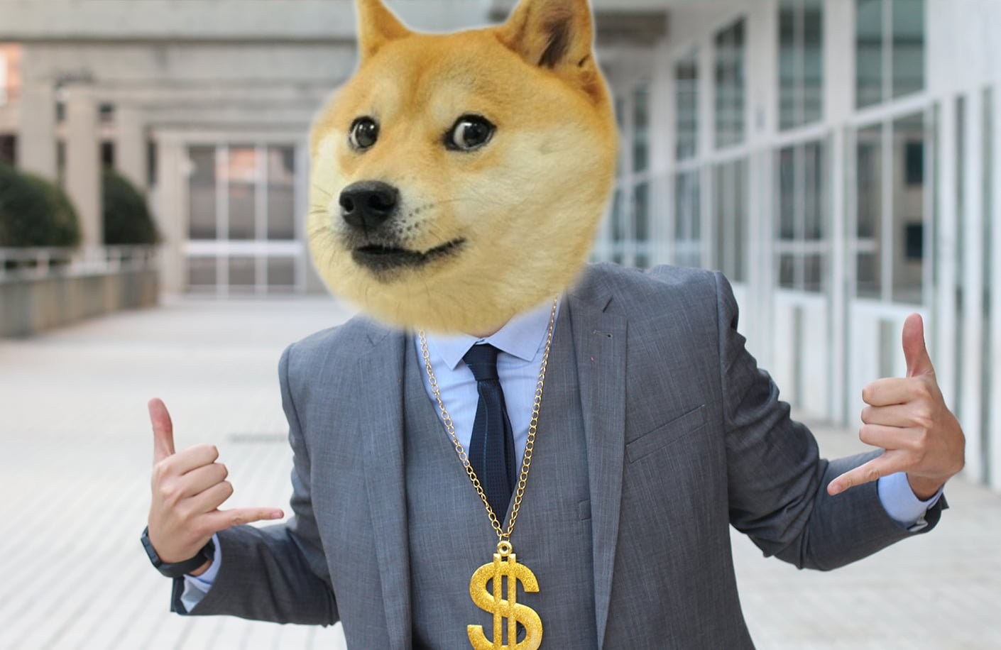 Elon Musk puts the Dogecoin symbol in his Twitter profile 7