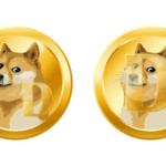 BEST Meme Coins? Here are Differences Between DOGE and SHIB!