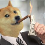 55% of Dogecoin holders are in profit: Report