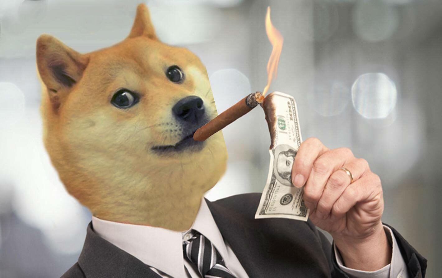 Daily transactions on the Doge network hits record high because of "Doginals" 24