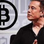Around 80% Bitcoin community wants Elon Musk to takeover Twitter