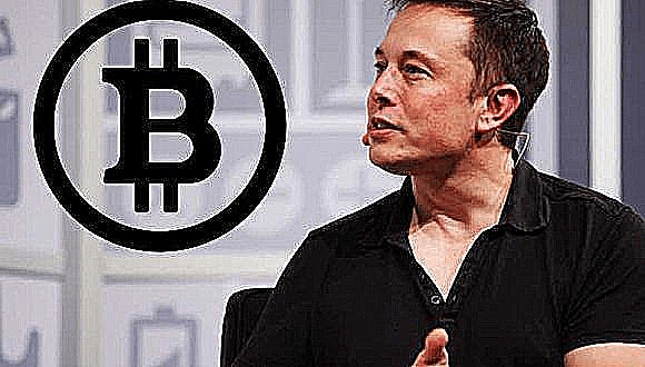 Elon musk bitcoin bullish
