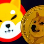 Google data shows Shiba Inu token is more popular than Doge