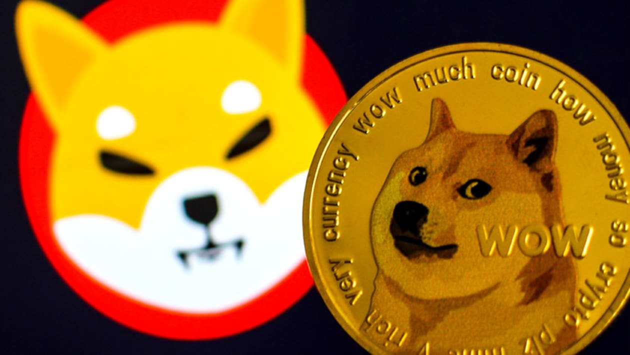 Google data shows Shiba Inu token is more popular than Doge 3