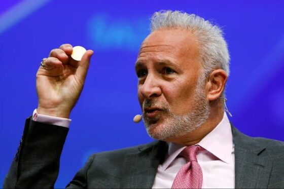 People suggest Bitcoin hater Peter Schiff to adopt Bitcoin to avoid “Bank shut down” 10