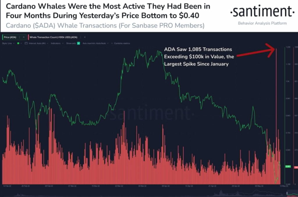 Amid downfall in prices, ADA whales transactions hit 4 Months ATH 3
