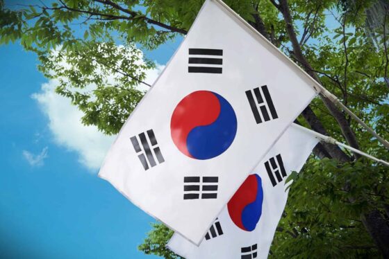 Korean financial govt institutions working on a crypto-backed payment system 6