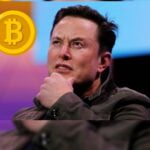 Elon Musk believes Crypto winter will last for a long term
