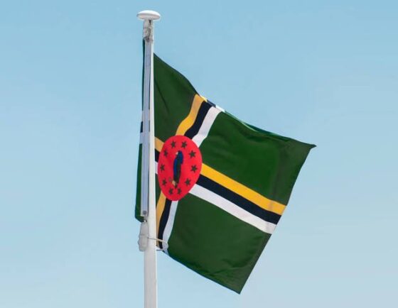 Huobi crypto exchange also will help Dominica to design national digital currency 4