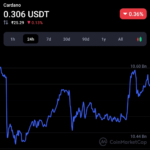 IOHK Exec Says Very Few Whales, Very Few Insiders in ADA