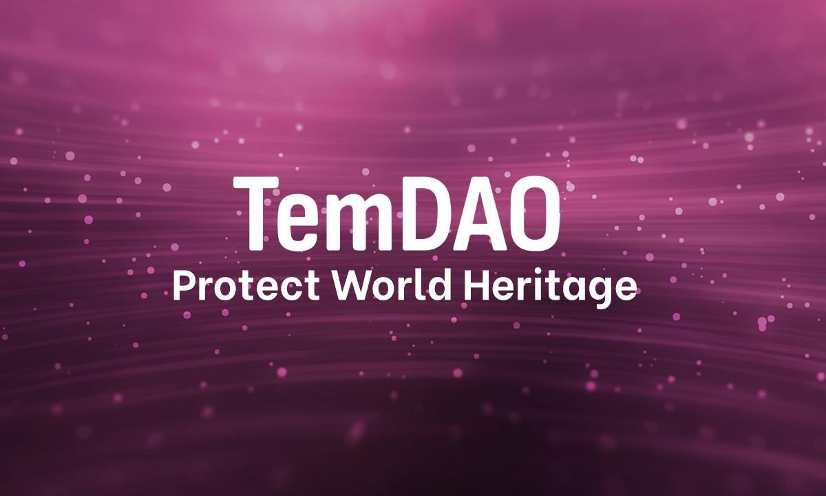 TemDAO World Heritage Project Helps the Cultural Sector through Democracy-Fueled Donations 33