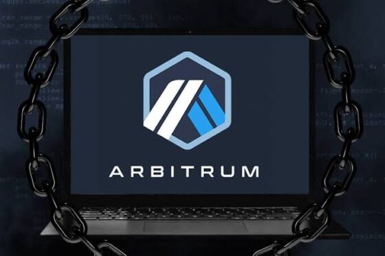 Arbitrum token is not decentralized: AIP 1.05 failed 19