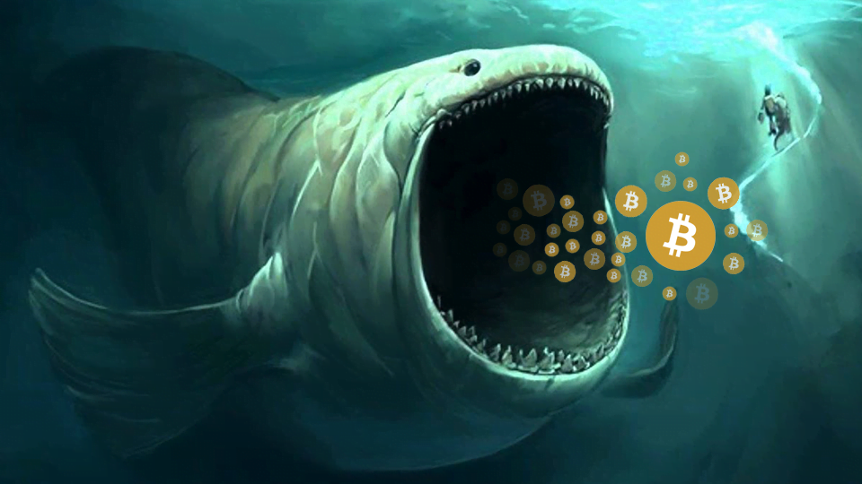A bitcoin whale wakes up after 9 years, after gaining 4200%+ profit  26