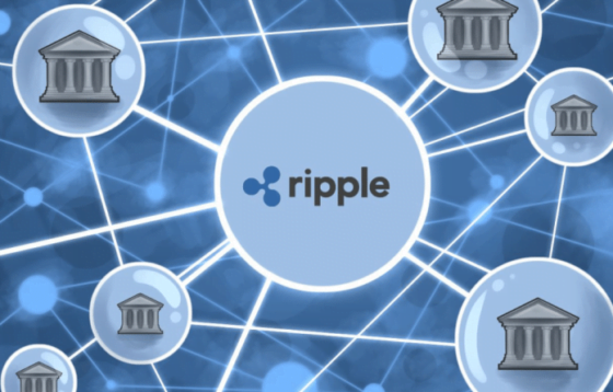 xrp daily transactions