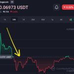 Elon Musk Says Dogecoin Lawsuit Based on a false premise: court filing