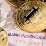 Indonesia may launch its “national crypto exchange” this month: Report