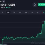 Ripple Exec brings light on the SEC’s appeal in the XRP lawsuit