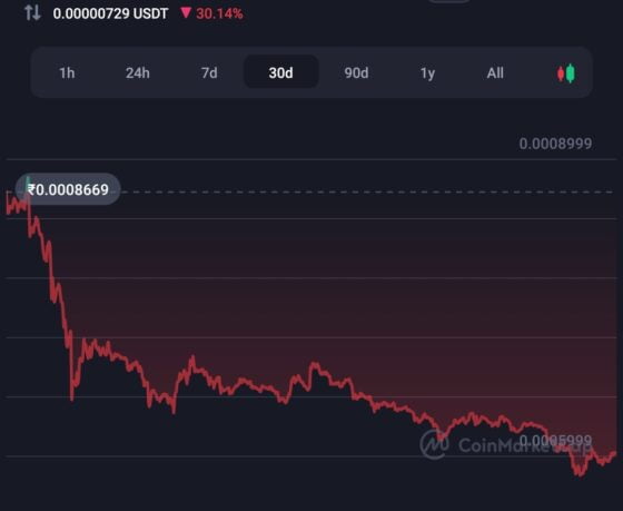 Shiba Inu's Shibarium blockchain's native token crashes 50% 7