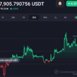 Analyst Says Whales and Big Money Still on ‘Risk-Mode’ Despite Bitcoin Surges 14% in 30 Days 