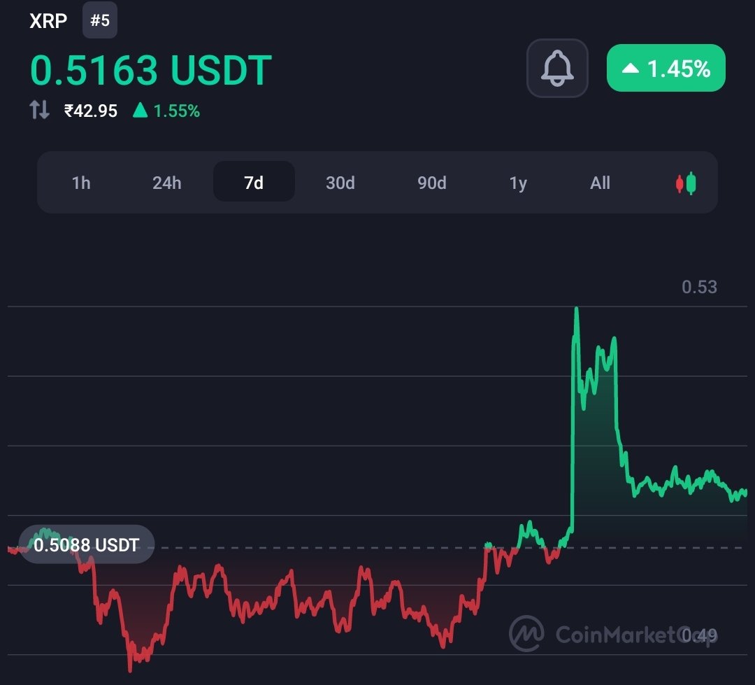 US Crypto Attorney Says The SEC Harmed a Lot of Innocent People 10