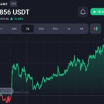 Cardano collaborates with Polkadot, is it a bullish sign for Dot & ADA coins?