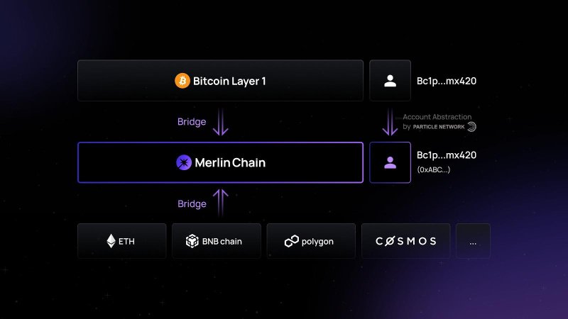 Unlocking Bitcoin's Potential: Introducing Merlin Chain, a Native L2 Solution 28