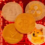 Dogecoin co-founder criticises Crypto critics amid high volatility of crypto market with humour 