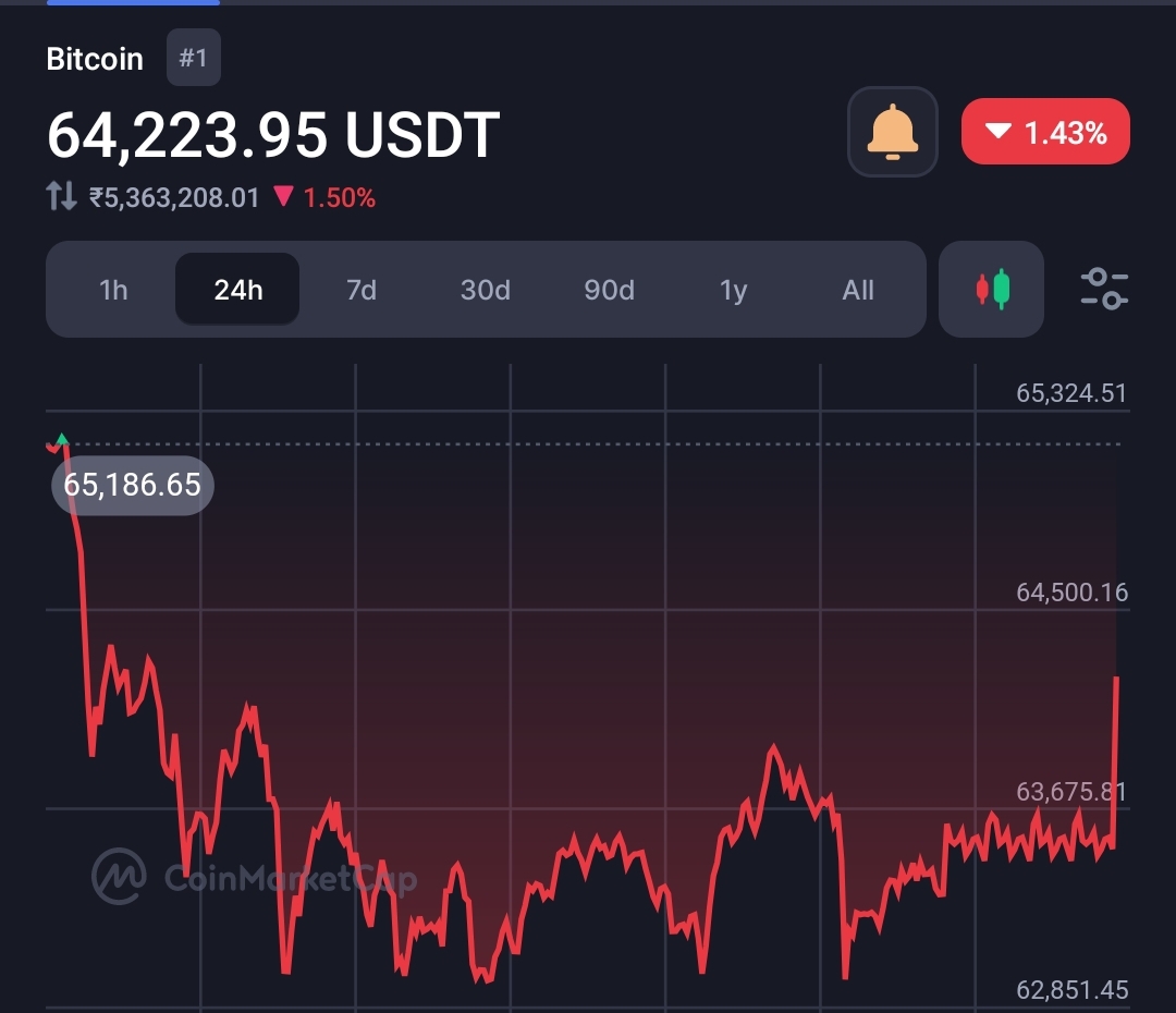 Expert says 95% of Bitcoin spot ETF holders seem long-term investors 8