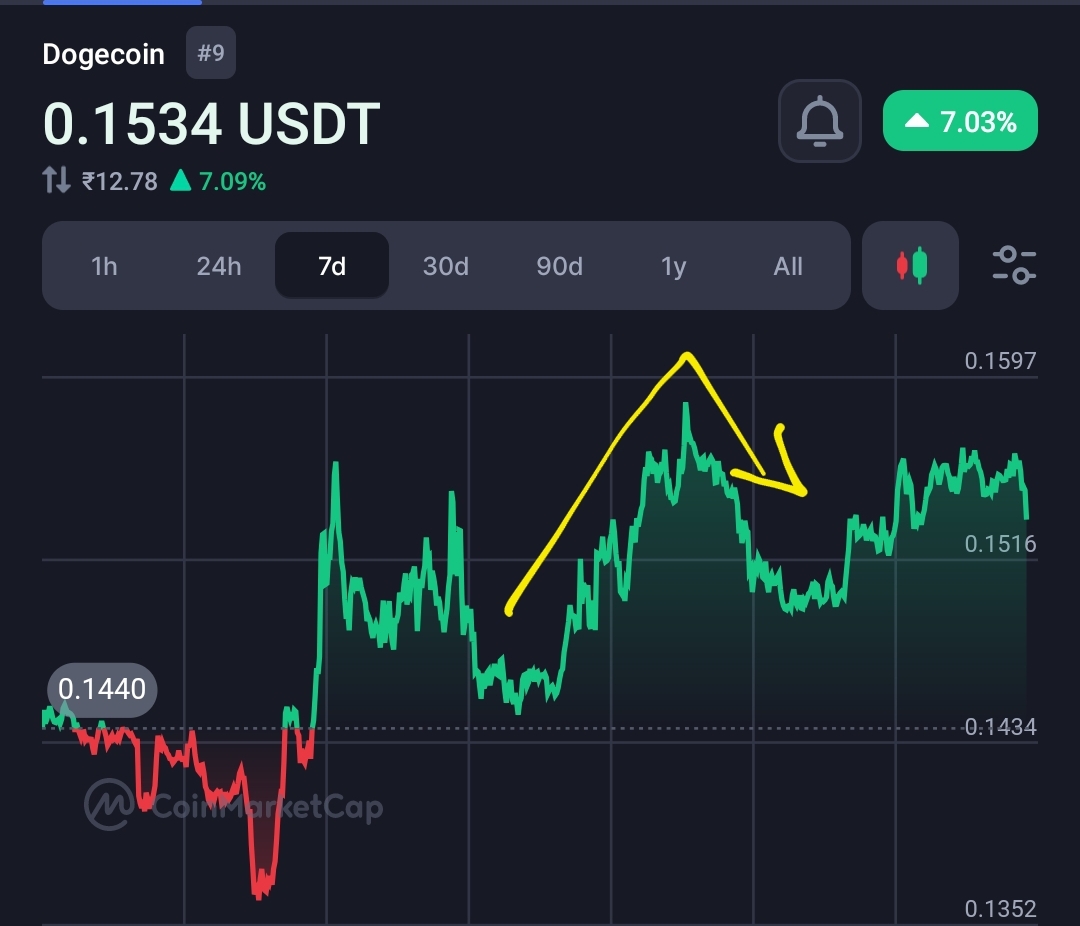 X & Dogecoin insider confirms X will launch “X payments” later this year  8