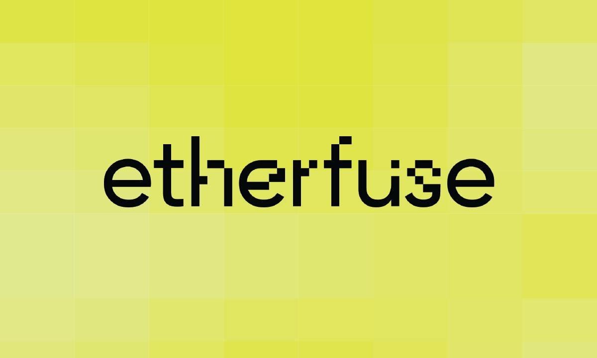 Etherfuse Raises $3M to Bring Emerging Market Debt On-chain 5