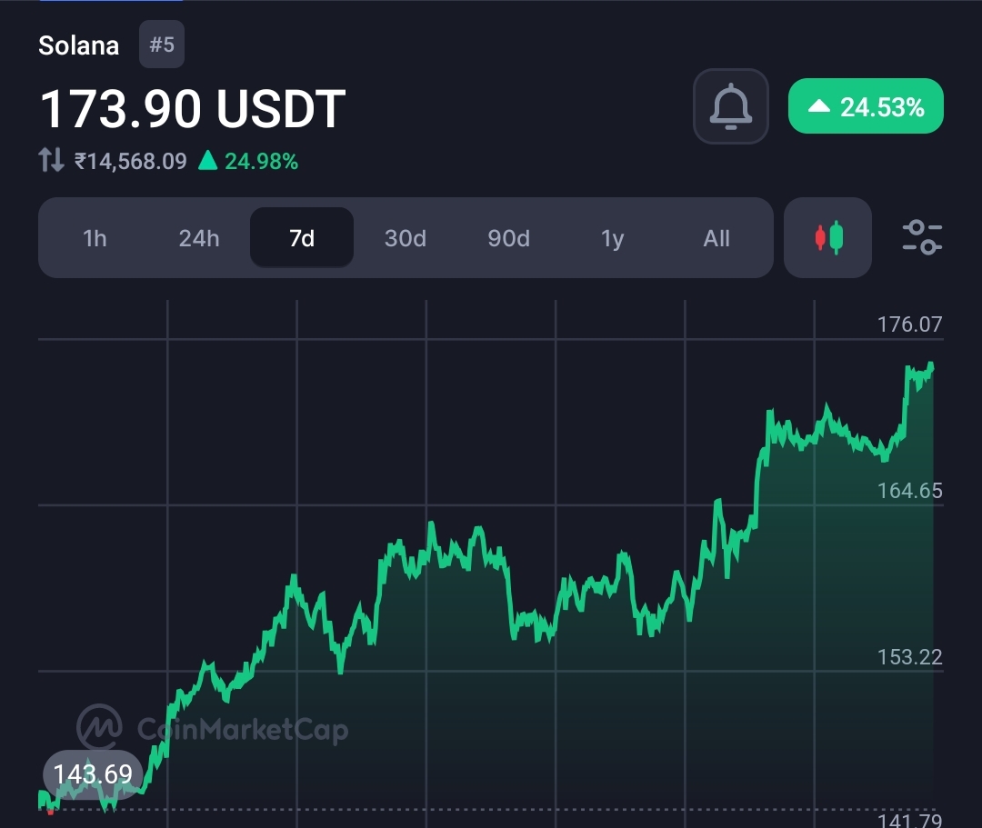 Solana (SOL) Soars Past $170, Eyes $250 Milestone 7