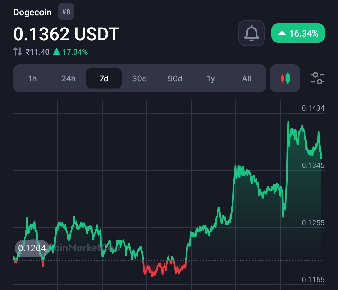 Expert Forecasts Massive 66% Surge for Elon Musk's Favoured Dogecoin! 11