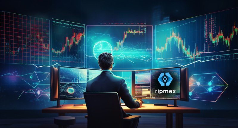 Ripmex Debuts RPX Tokens PreSale: Commission-Free Trading for a New Financial Era 7