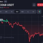 Cardano Founder Clarifies: No Talks with Elon Musk, But Future Collaboration Still Possible