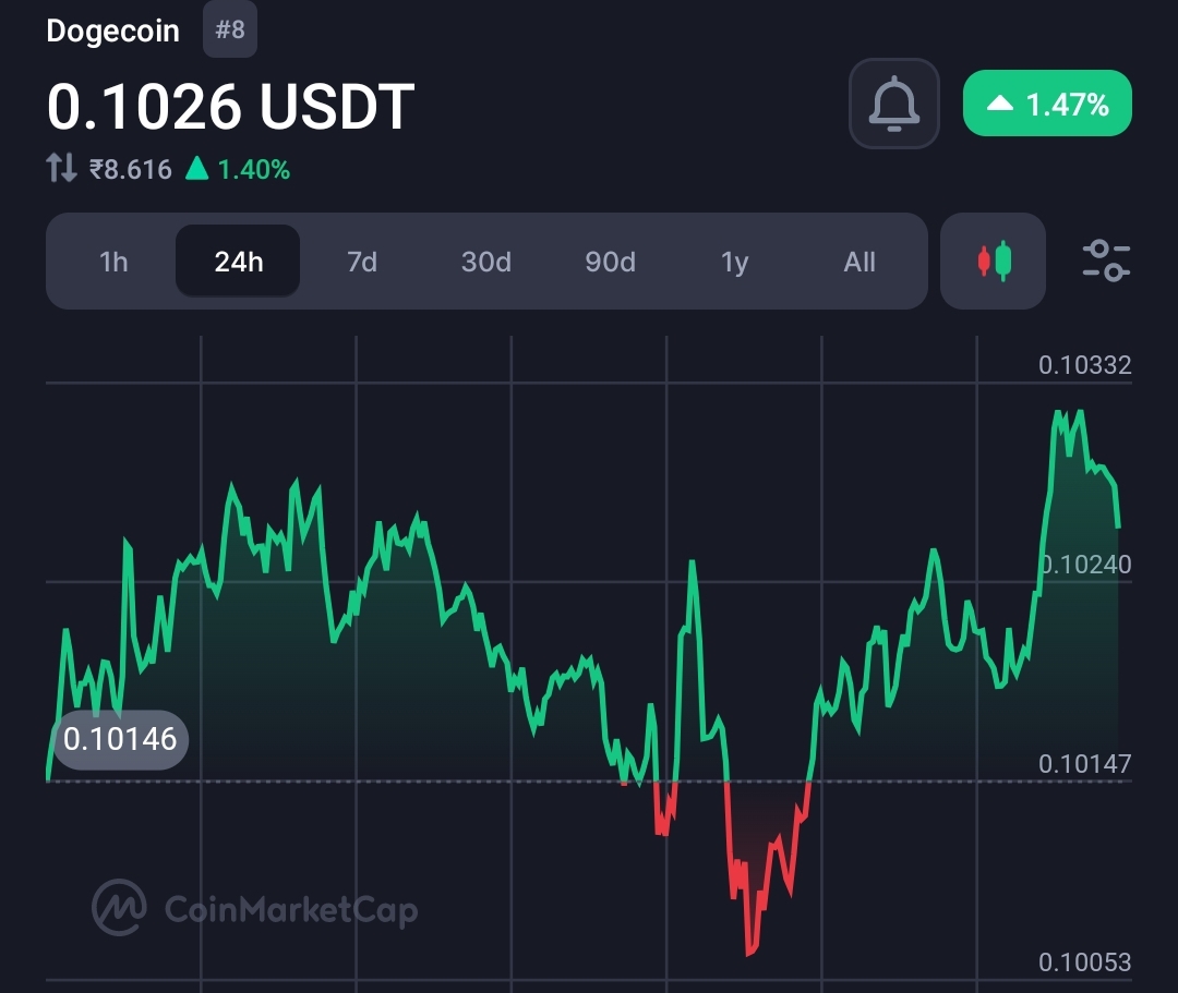 Elon Musk Hints at Dogecoin Support, While MicroStrategy ex-CEO Subtly Backs Bitcoin—A Dual Endorsement Shakes the Crypto World 10