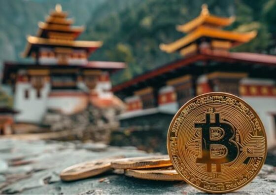 After BNB, BTC, and ETH: Bhutan Government Sets Eyes on Emerging Crypto Investments 2