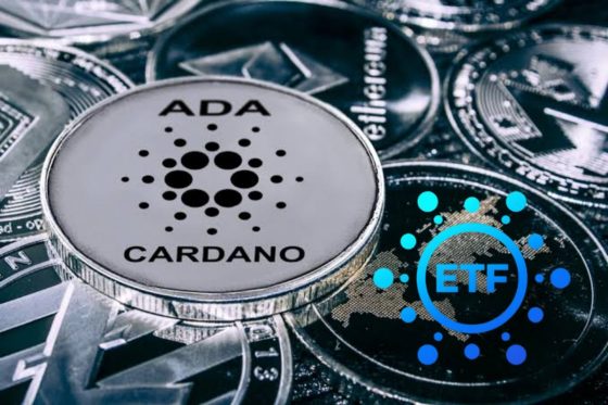 Hoskinson Defends Cardano $ADA's Inclusion in U.S. Crypto Strategic Reserve Amid Criticism 4